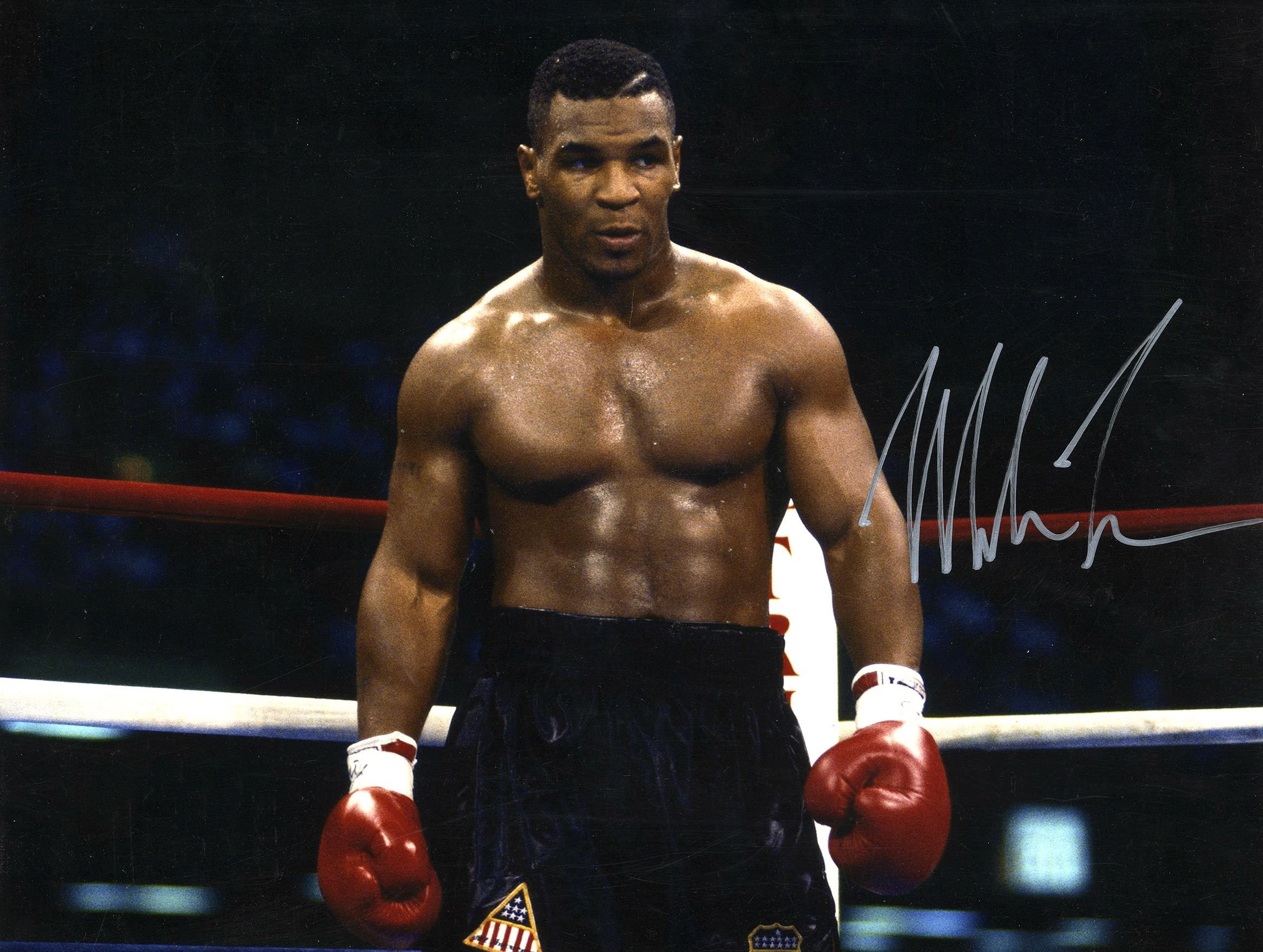 Read more about the article Mike Tyson Ab Workout: Train Like the Boxing Legend