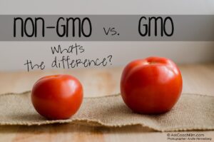 Read more about the article GMO vs Non-GMO Food: Making The Right Choices